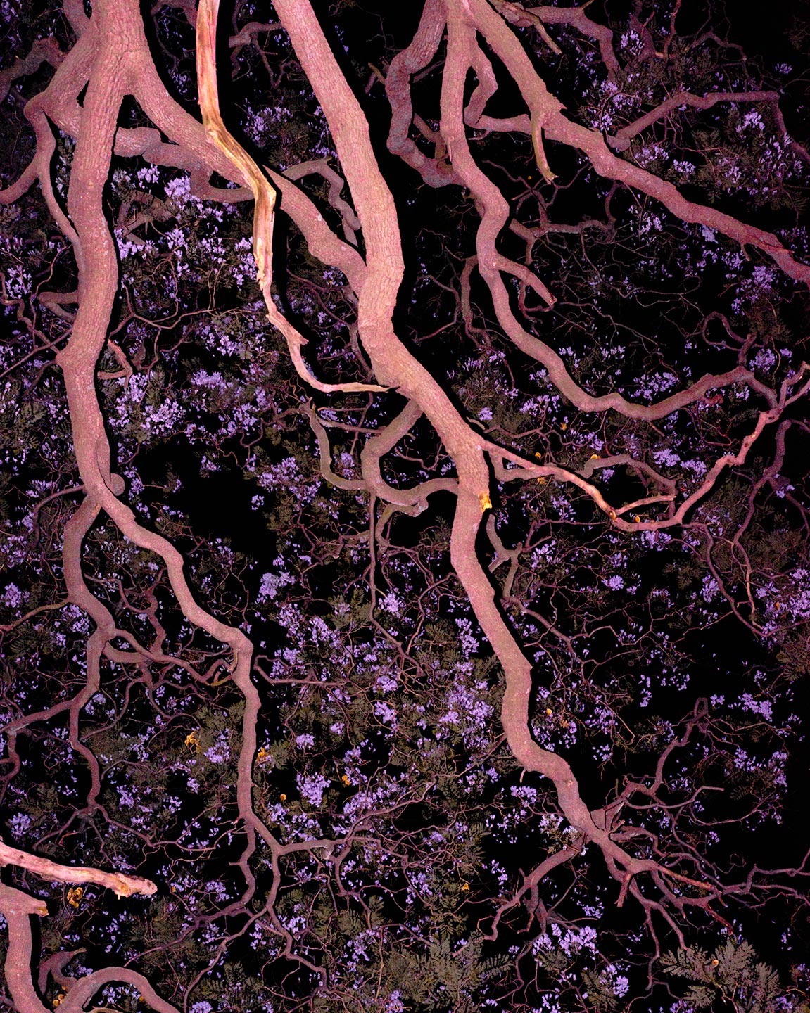 Like Stains of Red Dirt © Juan Orrantia