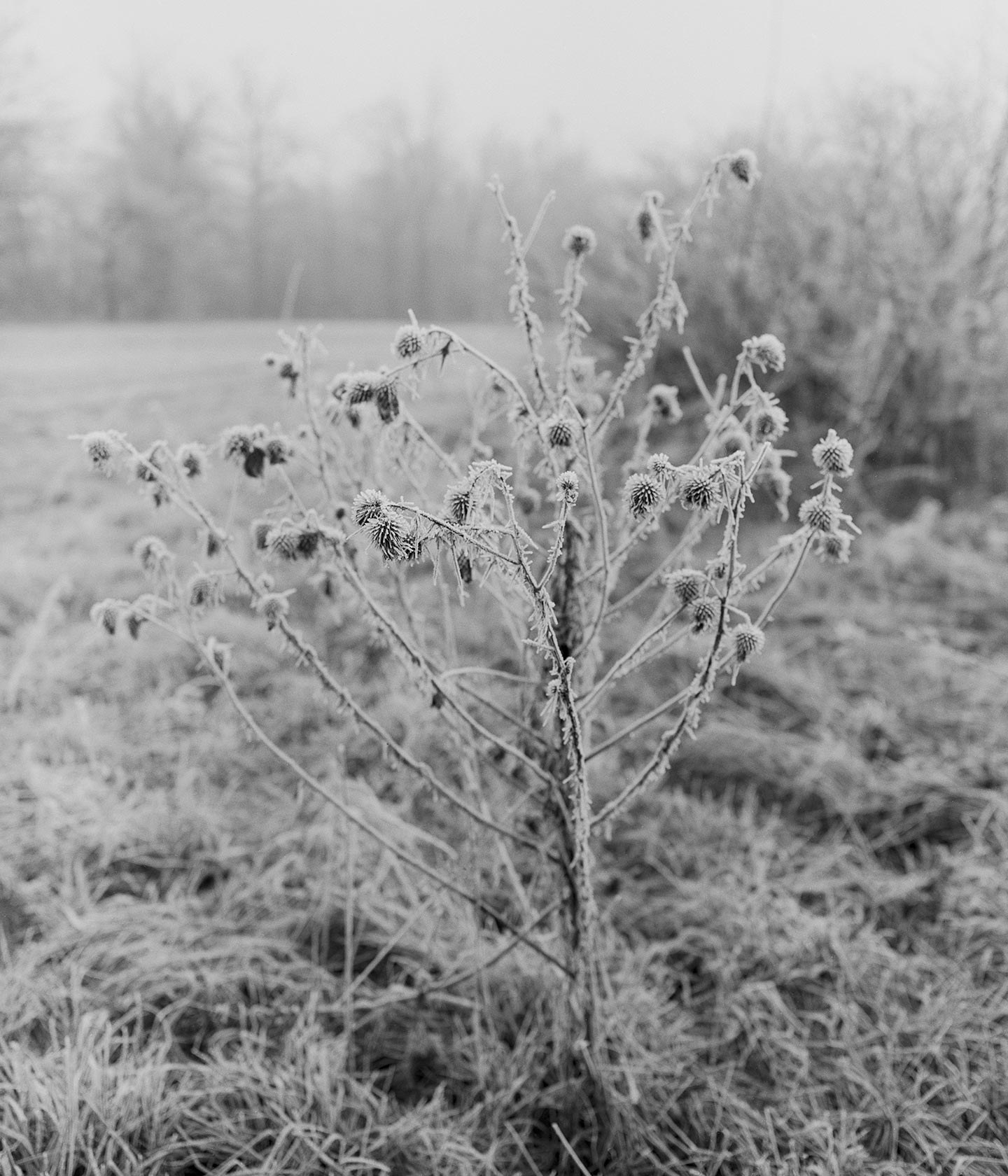We Are the Ones Turning © Ana Zibelnik