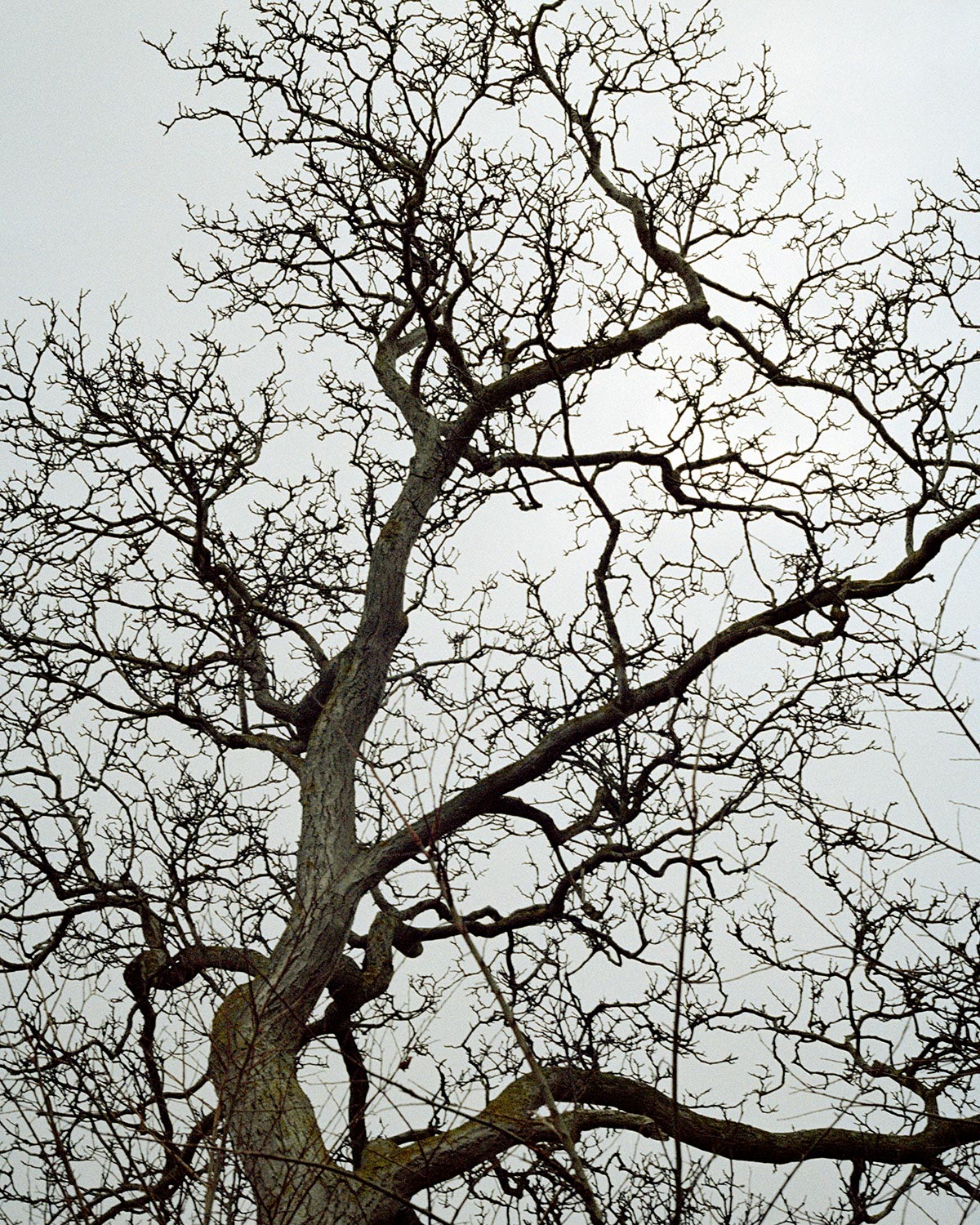 Blue Cannot Be Touched © Isabella Akers