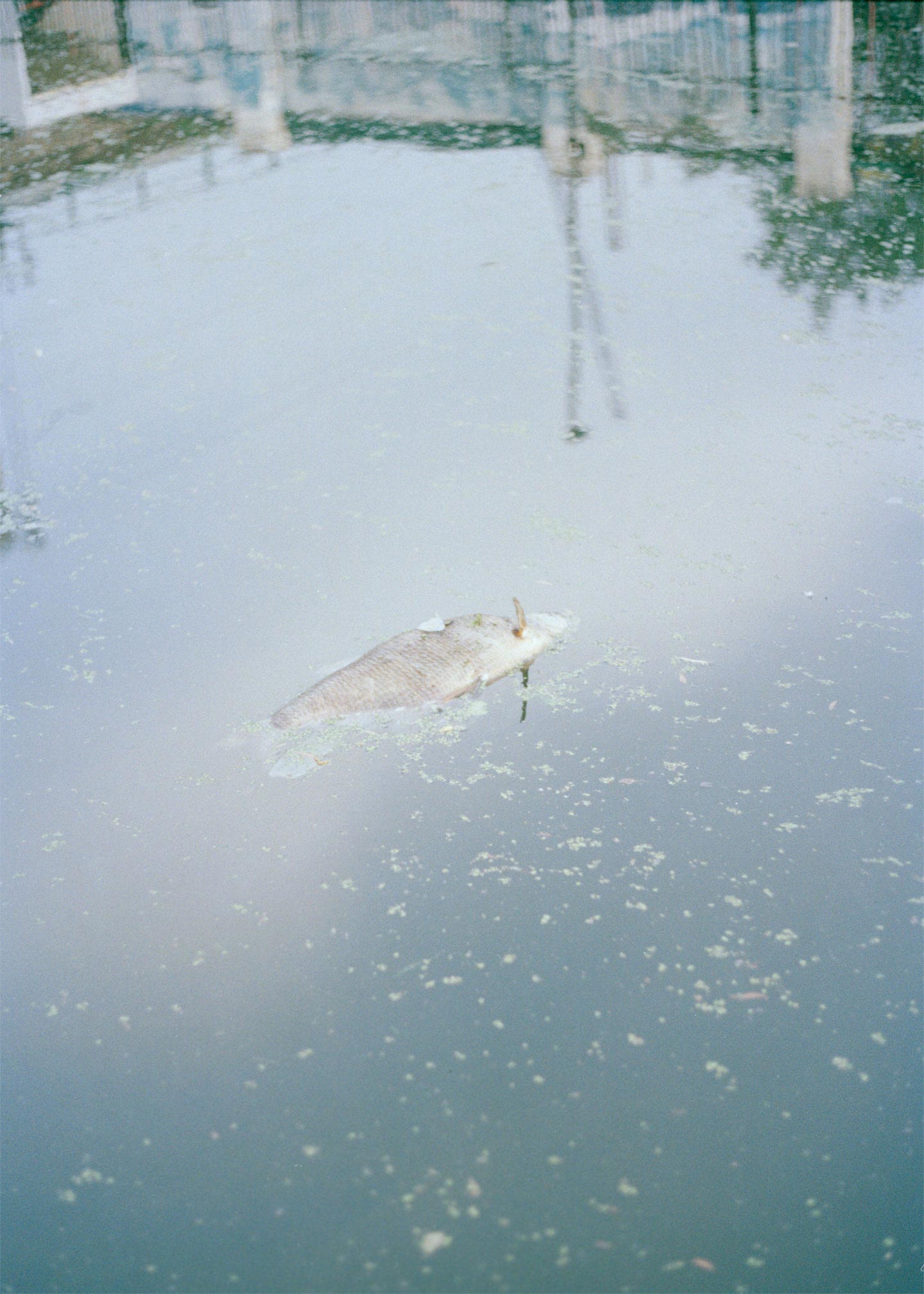 Adagio © Laura Ghezzi